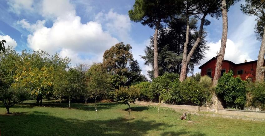 ולטרי Vigna Dell'Agrifoglio - Bed And Breakfast מראה חיצוני תמונה