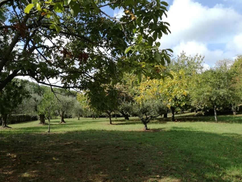 ולטרי Vigna Dell'Agrifoglio - Bed And Breakfast מראה חיצוני תמונה