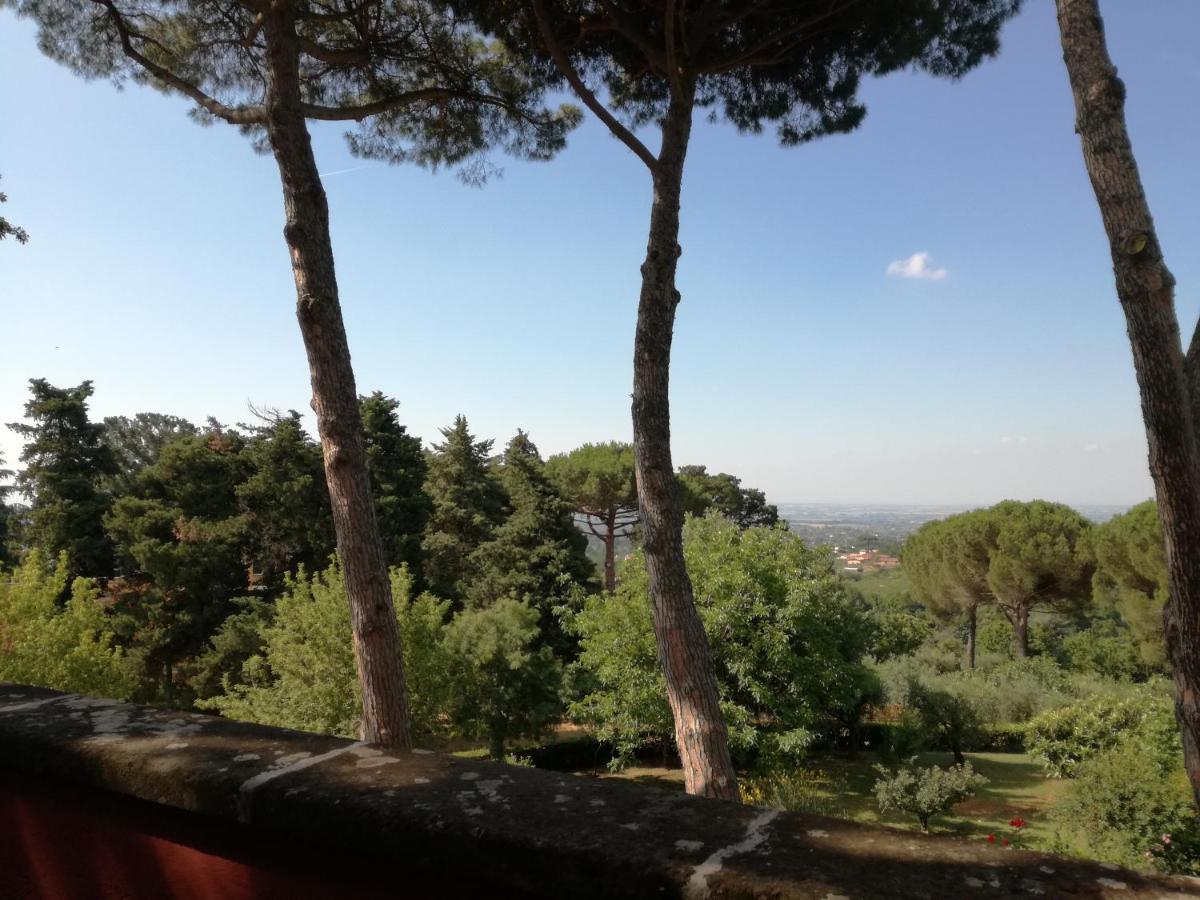 ולטרי Vigna Dell'Agrifoglio - Bed And Breakfast מראה חיצוני תמונה