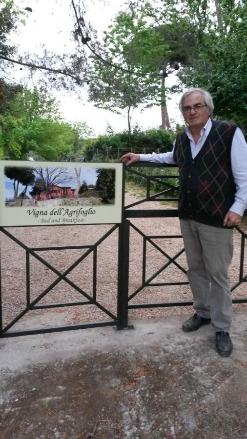ולטרי Vigna Dell'Agrifoglio - Bed And Breakfast מראה חיצוני תמונה